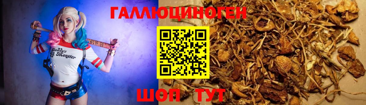 Галлюциногенные грибы Magic Shrooms Братск